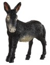 Burro de 11,5x9 cm de altura, serie Oliver para figuras de 12 cm, Mondo Presepi.