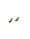 Set 2 Seasoned salami