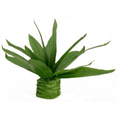 Agave modellabile cm 10,5 h Mondo Presepi