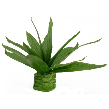 Agave modellabile cm 10,5 h Mondo Presepi