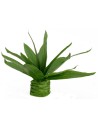 Agave modellabile cm 10,5 h Mondo Presepi
