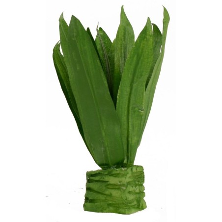 Agave modellable cm 10.5 h