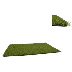 Carpet grass cm 70x50x2