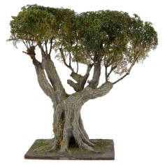 Ulivo con fitta chioma verde h. 23 cm Mondo Presepi