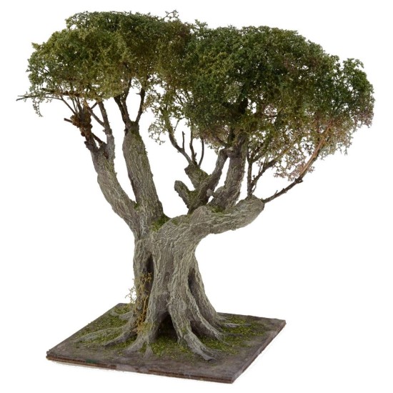 Olivo con denso follaje verde h. 23 cm Mundo Pesebre