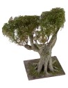 Ulivo con fitta chioma verde h. 23 cm Mondo Presepi