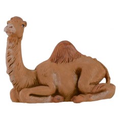 Dromedary sitting for statues from 12 cm Fontanini