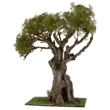 Ulivo con chioma verde h. 30 cm Mondo Presepi