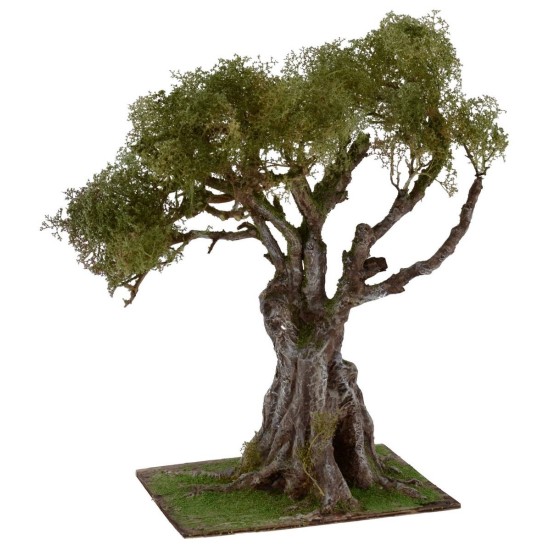 Ulivo con chioma verde h. 30 cm Mondo Presepi