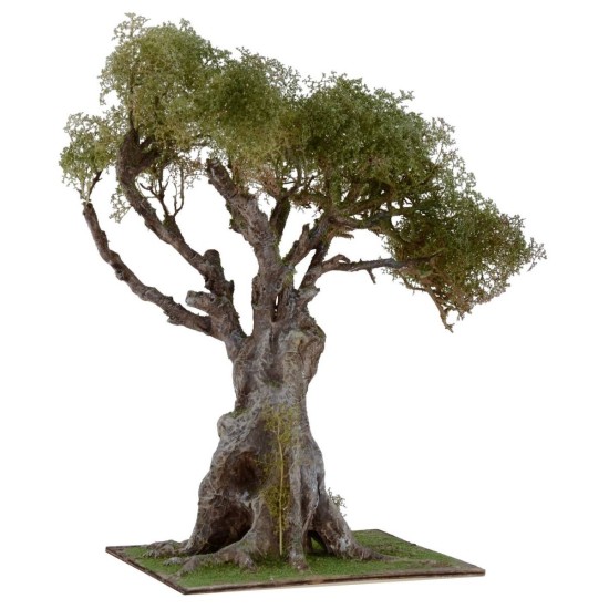 Ulivo con chioma verde h. 30 cm Mondo Presepi