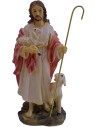 Cm 12 Jesus the good shepherd
