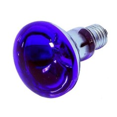 Purple spot lamp E27-60W