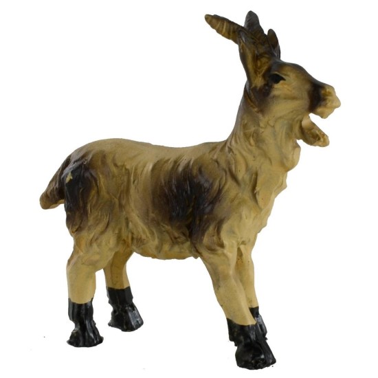 Piebald goat head high for statues 10-12 cm