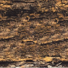 3D modeling cork bark paper 120x60 cm