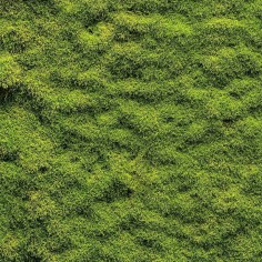 Moss paper 3D modeling nativity 60x60 cm