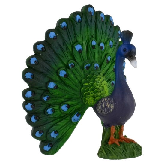 Peacock cm 6x6,6h