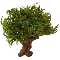 Albero 25-27 cm foglie Verdi Mondo Presepi