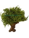 Albero 25-27 cm foglie Verdi