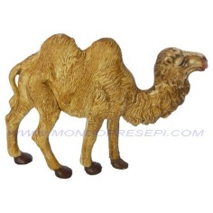 Camel 6 cm