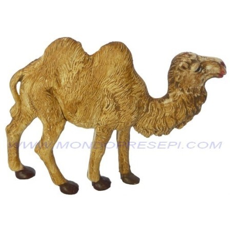 Camel 6 cm