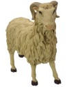 Montón cabeza alta Pigini para estatuas de 30 cm