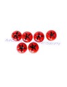 Set 6 pezzi pomodori