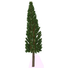 Cypress without base 17 cm