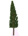 Cypress without base 17 cm