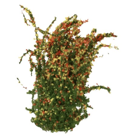 Flowering bush cm 4 h