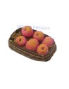 Basket with red apples - D405