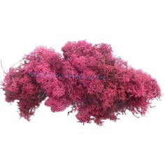 Lichen dark red 50 grams