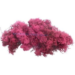 Líquenes rojo oscuro 150 gr