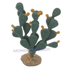 6 cm thick prickly pear - 9682D