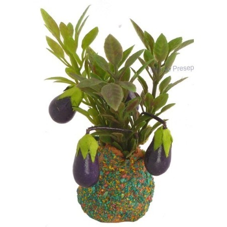 Plant with eggplant