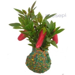 Planta con Pimientos rojos