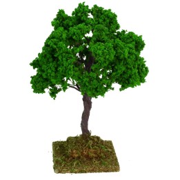 Quercia cm 14 h