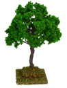 Oak cm 14 h