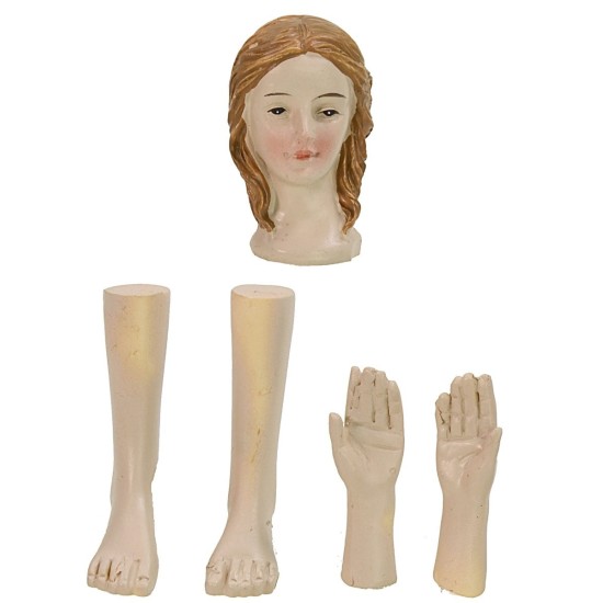 Testa, mani, piedi donna per statue cm 14-15 h