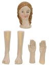 Testa, mani, piedi donna per statue cm 14-15 h