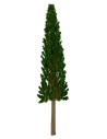 Cipresso senza base 17 cm Mondo Presepi