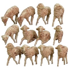 Set 10 assorted sheep for statues of 8-10 cm