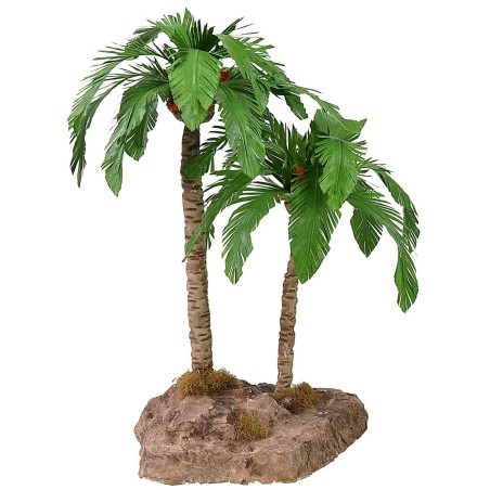 Double palm cm 25-19 h