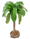 Palm 36 cm h. for crib
