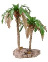 Double bicolor palm 25-19 cm h