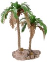 Double bicolor palm 25-19 cm h