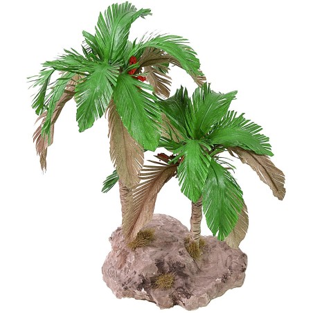 Double bicolor palm 25-19 cm h