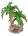 Double bicolor palm 25-19 cm h