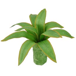 Agave modellabile 10 cm