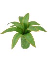 Agave modellabile 10 cm Mondo Presepi