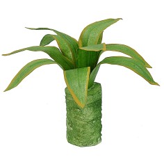 Agave moldeable 10 cm Mundo Pesebres 2